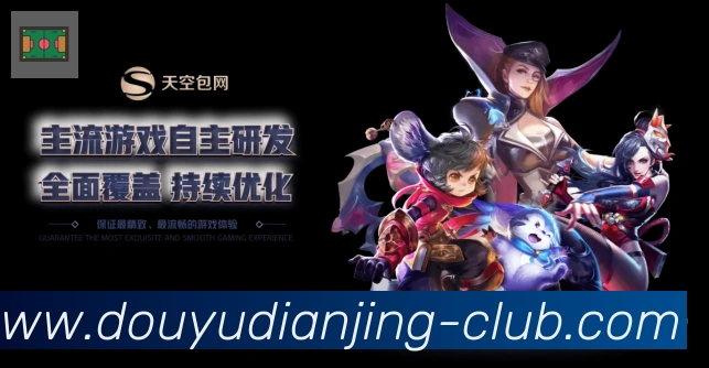未来规划